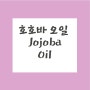 호호바오일Jojoba Oil ,호호바의 효능과 제형 및 사용방법 총정리
