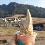 성산일출봉 무료관람으로도 멋짐 / 무료뷰 / 우도땅콩 아이스크림