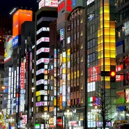 로밍도깨비 일본 로컬망 속도 도쿄 eSIM후기