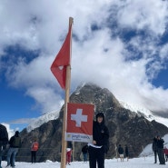 스위스 신혼여행 : vip 패스 2일권, 융프라우 | 그린델발트 산책