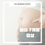 임신 중기 7개월 증상 25주 26주 27주 28주 임산부 배뭉침 임신선 허리통증