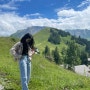 2022 유럽여행✈ 스위스여행 루체른여행 스위스패스 무료 여행 클레벤알프(Klewenalp) 무료케이블카 루체른호수 루체른근교 가볼만한곳