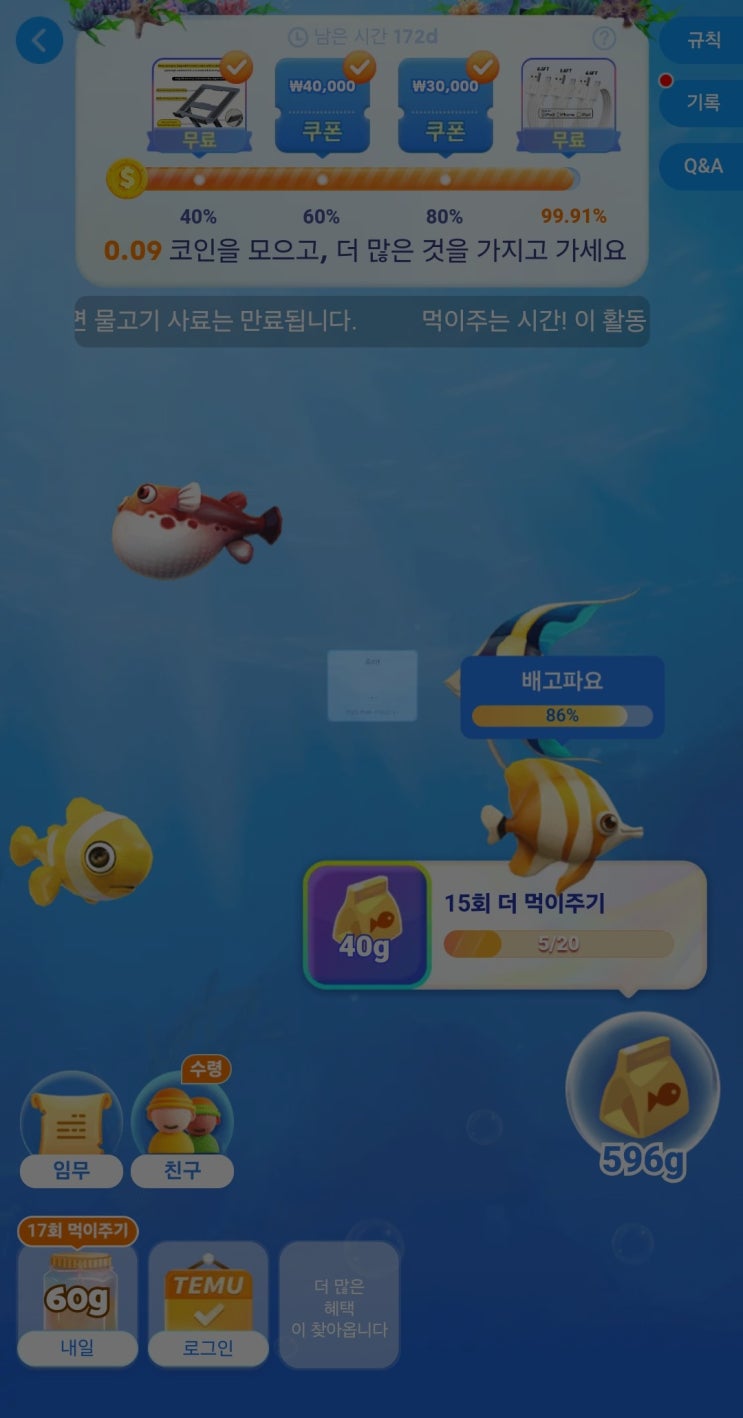 테무 피쉬랜드 성공 후기. : 네이버 블로그