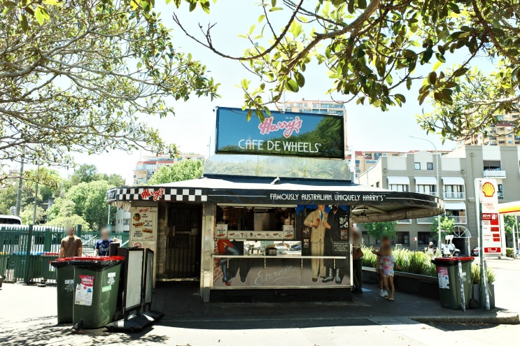 [시드니 여행] 23.11.29 Harry's Cafe de Wheels 고기파이 셸리비치 스노클링 ....