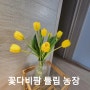 ♡꽃다비팜 착한가격 예쁜생화주문