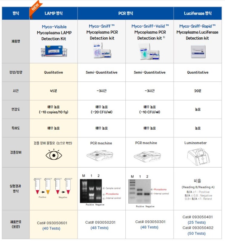 Mycoplasma Contamination 3편 : 마이코플라즈마 검출 키트 (Mycoplasma Detection Kit ...