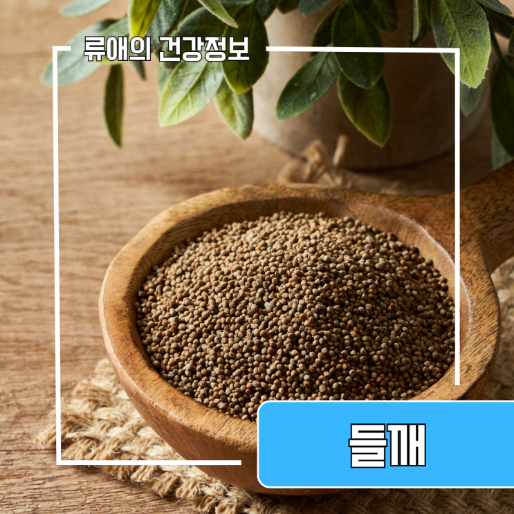 들깨 효능 부작용 : 들깨가루, 들깨잎, 들깨기름 등 들깨의효능 정리 : 네이버 블로그