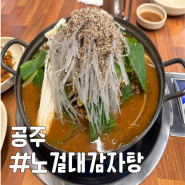 공주 공산성 맛집 뼈 살이 많은 노걸대감자탕