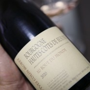 Pierre Yves Colin Morey Bourgogne Hautes-Côtes de Beaune Au Bout du Monde 2020
