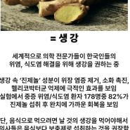 쿠마™] 생강 (Ginger) - 소화력 회복, 위장병 극복