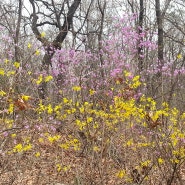 개화산 산행