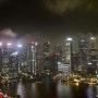 싱가포르 - 샌즈 스카이 파크 전망대