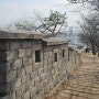 서울 낙산공원 성곽길 데이트 걷기 좋은 한양도성 순성길