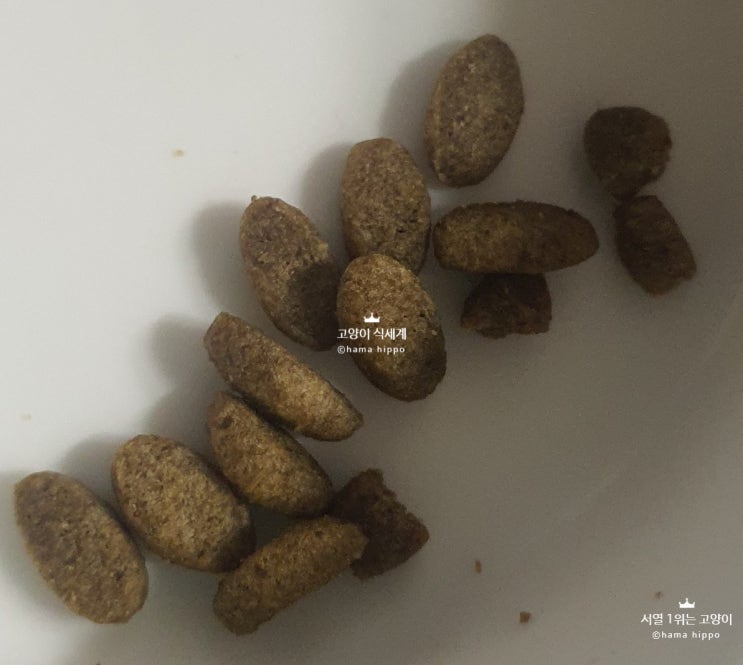 반려 고양이, 고양이 사료, 건사료, 습식사료 등 : 네이버 블로그