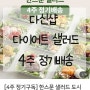 [내돈내산] 다신샵 다이어트 한스푼 샐러드 4주 정기배송 솔직후기