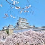 오사카 근교 벚꽃여행 떠나자 고베 1일차 여행코스