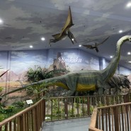 5세 공룡덕후 아이와 갈만한곳 덕소 자연사박물관
