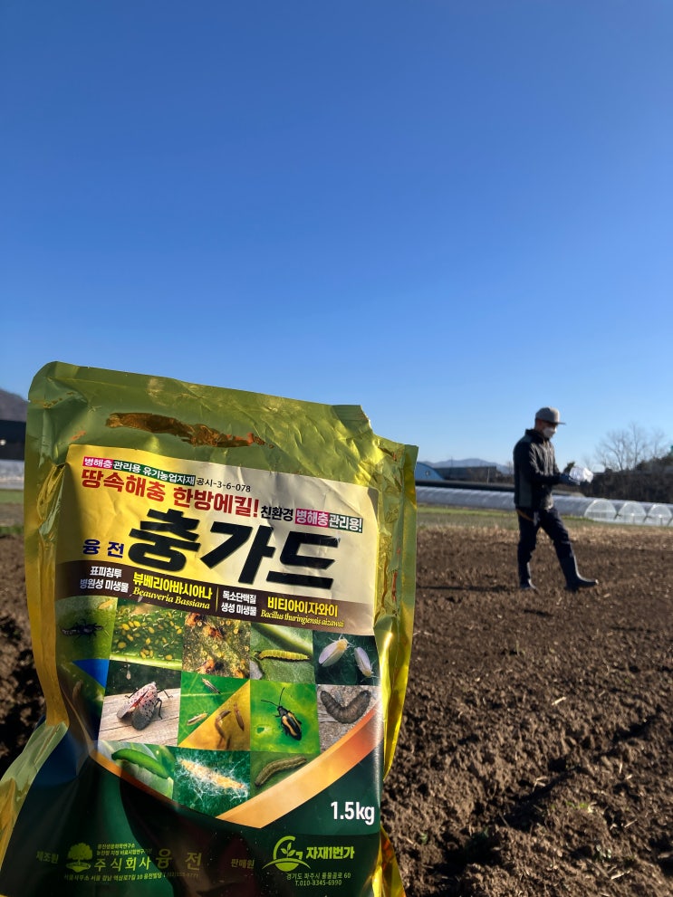 2월 텃밭 준비, 친환경 토양살충제(충가드)와 비료 살포, 땅 갈기 : 네이버 블로그