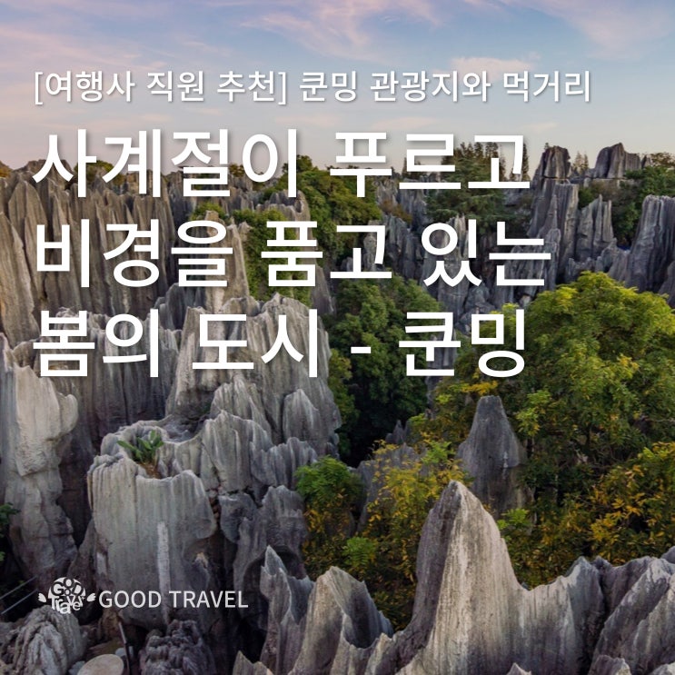 [여행사 직원 추천] 사계절이 푸르고 비경을 품은 도시 쿤밍 여행(feat. 중국 여행) : 네이버 블로그