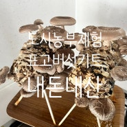 표고버섯키트-신기해서구매한 내돈내산 버섯키우기