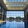 (아이랑 제주여행) 4계절 온수풀 수영장, 온천이 있는 디아넥스 호텔, 아라고나이트 고온천