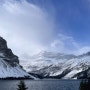 Rocky & Banff 여행 #2 - 글래이셔, 레이크루이스, 보우폭포, 밴프 Glacier, Lake louise, Bow falls, Banff, Banff town