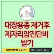 대장용종(D126) 제자리암(유사암) 진단비 받기