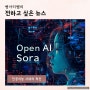 [오픈 AI 소라(sora)] 멀티 모달 AI와 영상 산업의 혁명,이제 당신은 마법사