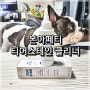 <강아지 눈꼽> 강아지 눈물 본아페티 티어스테인 클리너로 관리하세욧!!