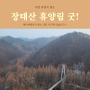 대전 단풍여행 초겨울명소 장태산휴양림