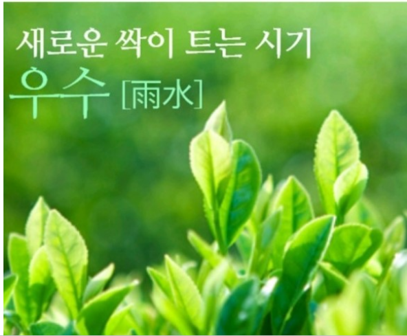 우수(雨水) 절기 건강 유지법(한의학적 관점) : 네이버 블로그