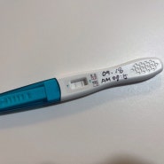 임신 초기 증상 3~5주차 검사결과, 준비과정 : 피검사, HCG 수치, 아기집 초음파 사진