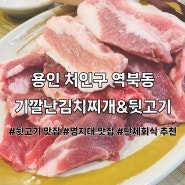 (용인/처인구) 역북동 뒷고기 쫀득쫀득한 고기 맛집 기깔난김치찌개&뒷고기 후기