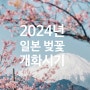 2024년 일본 벚꽃 개화시기_오사카 홋카이도 도쿄 후쿠오카