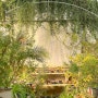 정원산책 블로그램 ; 240218 자스민향기로 가득한 온실