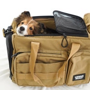 강아지 이동 가방 긁힘 방수 강한 어반비스트 레인져백 추천