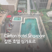 칼튼 호텔 싱가포르(Carlton Hotel Singapore) : 수영장, 헬스장