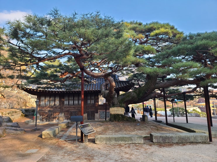 석파정 서울미술관, 아름다운 석파정에 전시회까지 둘러보기 : 네이버 블로그