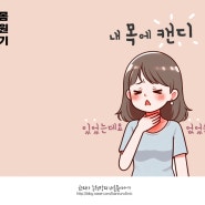 목에 뭐가 걸린 느낌, 뱉어지지 않아요. 가래는 아닌 것 같은데 이게 뭘까요?