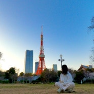 도쿄타워 스팟 가까이서 보는 시바코엔