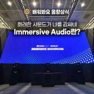 오디오 기술의 정점, Immersive Audio란 무엇일까? | OTT, 영화관, 애플뮤직, 돌비