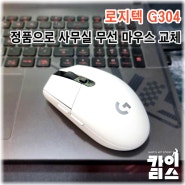 로지텍 G304 정품과 가품 구별 방법 feat. 무선 마우스 사용 후기