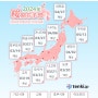 오사카 교토 벚꽃 여행준비 | 벚꽃 개화시기 일본 VS 한국, 같은 시기에 벚꽃이 피나요?
