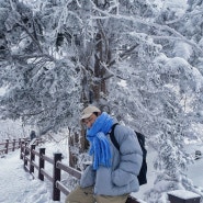 [평창] 겨울에 꼭 가야 할 강원도 여행지 발왕산 케이블카 등산 코스 무장애 천년주목숲길 역대급 설산 산행