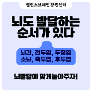 뇌도 발달하는 순서가 있다!_밸런스브레인창원센터