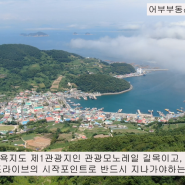 1억대 538평 명품 오션뷰, 이게 바로 초급매 토지