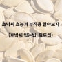 호박씨 효능과 부작용 알아보자(먹는 법과 칼로리)