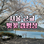 서울 근교&경기도 벚꽃 캠핑장 베스트5