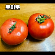 토마토 효능 보관방법 궁합 좋은 식재료 알아보기