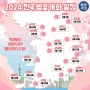 2024 전국 벚꽃 개화 일정